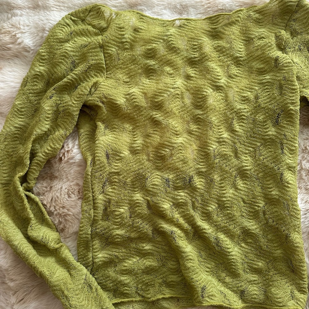 Zara sheer long sleeve top